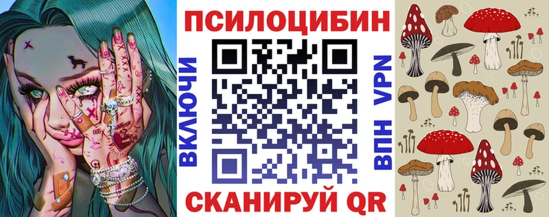 Псилоцибиновые грибы Psilocybe  Приморск 